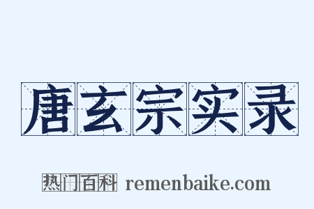 唐玄宗实录是什么意思的图片
